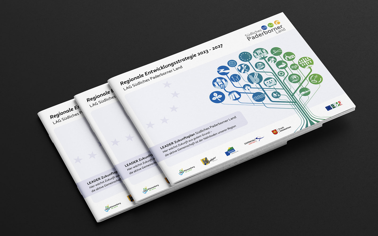 regionale entwicklunsstrategie südliches paderborner land leader