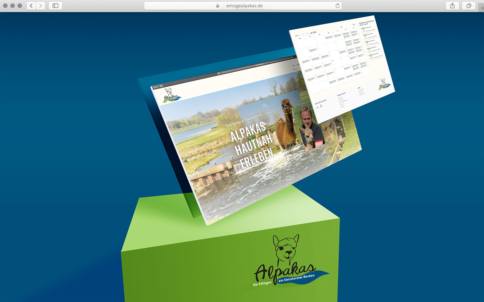 Emsige Alpakas Alpakawanderung am Steinhorster Becken